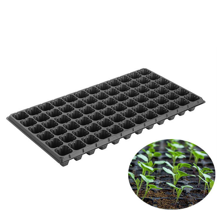 Wholesale 72 seedling tray wholesale price plastic 128 200 holes plug tray