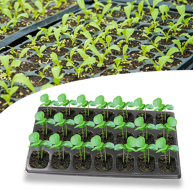 Wholesale 72 seedling tray wholesale price plastic 128 200 holes plug tray