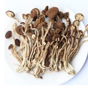 Hot Selling factory price sales of new dry tea mushroom wholesale mushrooms