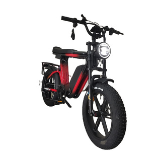 Mag-alloy wheel   motor 1000W Fat Tire Electric Bike 22Ah48V Oil Brake Full Suspension Steel Frame Dual Battery Ebike