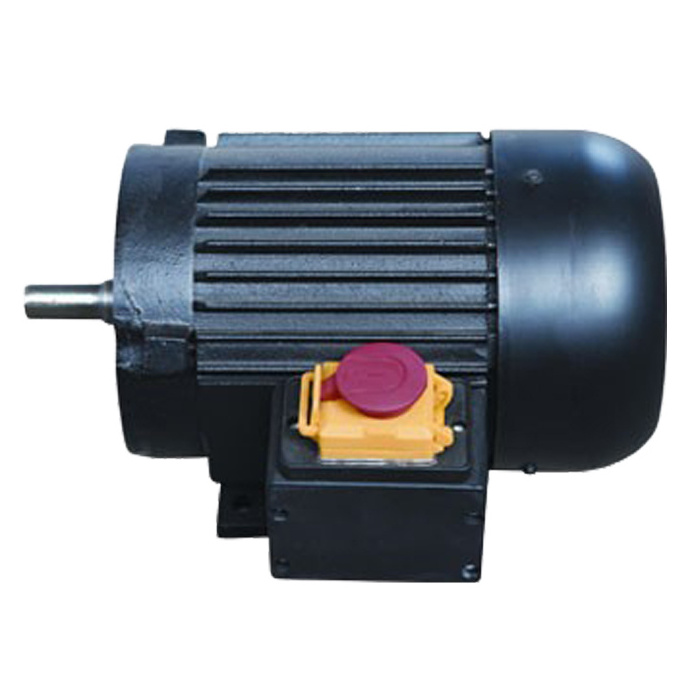 8HP Electric Motor