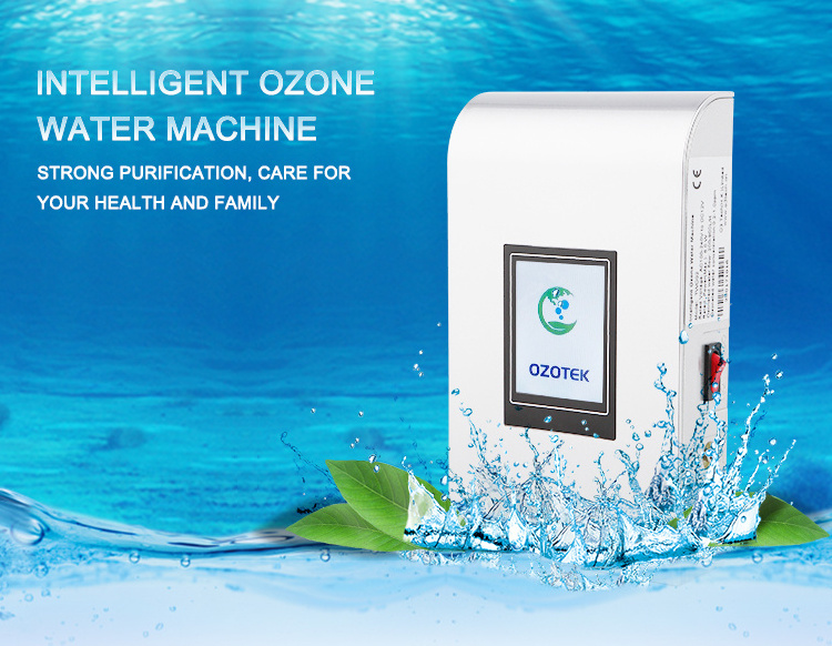 OZOTEK TWO002 New Ozone Generator Ozonizer Air and Water O3 Disinfector Ozonator Vegetable Fruit Washers Deodorization