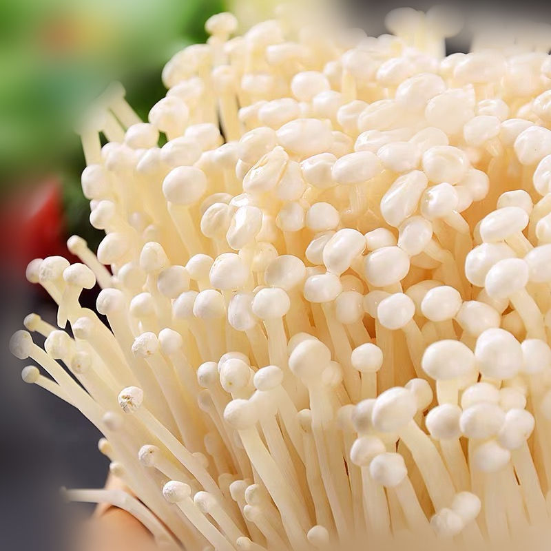 China Finc Fresh Enoki Mushroom Factory Production Large-scale Cultivation High-quality Mushrooms