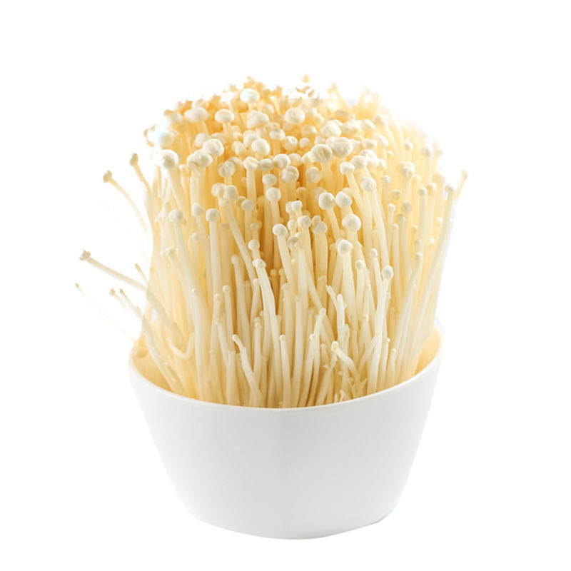 White Needle Mushrooms Fresh Style Enoki-mushroom Fresh Enoki Mushroom