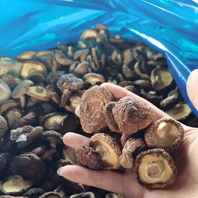 Bulk Dried Shiitake Mushroom Agricultural Products Chinese Black Mushroom