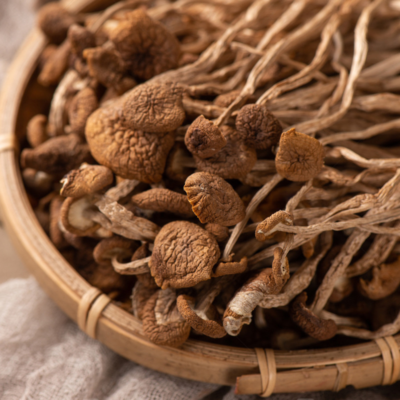 Chinese Factories Yunnan bulk natural New Fresh Dried Agrocybe Dried Tea Tree shitake Mushroom