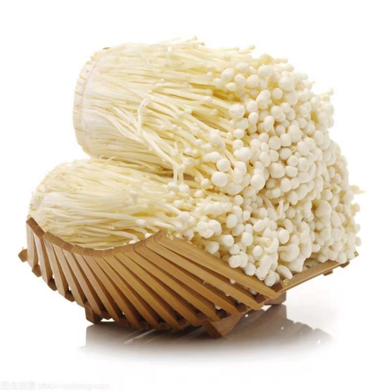 Great Quality Chinese Exported Factory Cultivated Growing Exotic Fresh Enokitake Fresh Enoki Mushroom