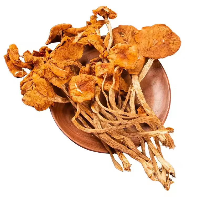 Chinese Factories Yunnan bulk natural New Fresh Dried Agrocybe Dried Tea Tree shitake Mushroom