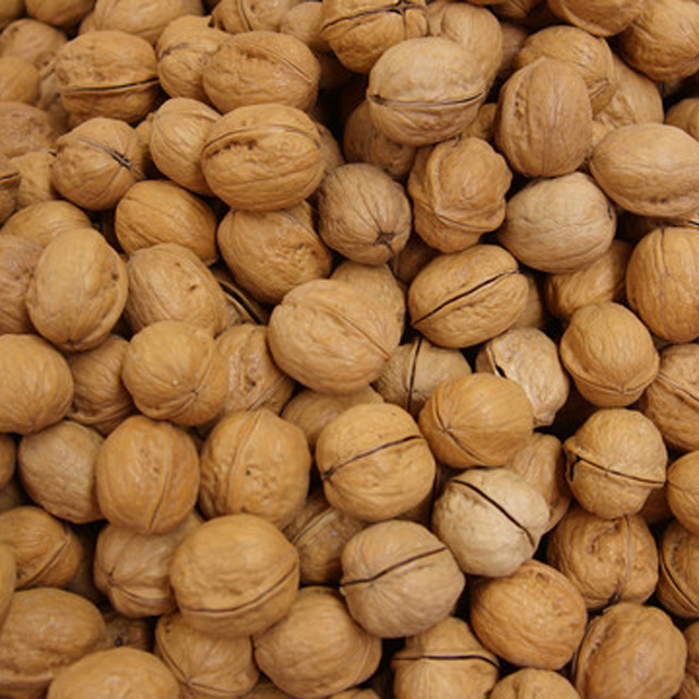 New Hot-sale Low Price Organic Walnut Kernels From China