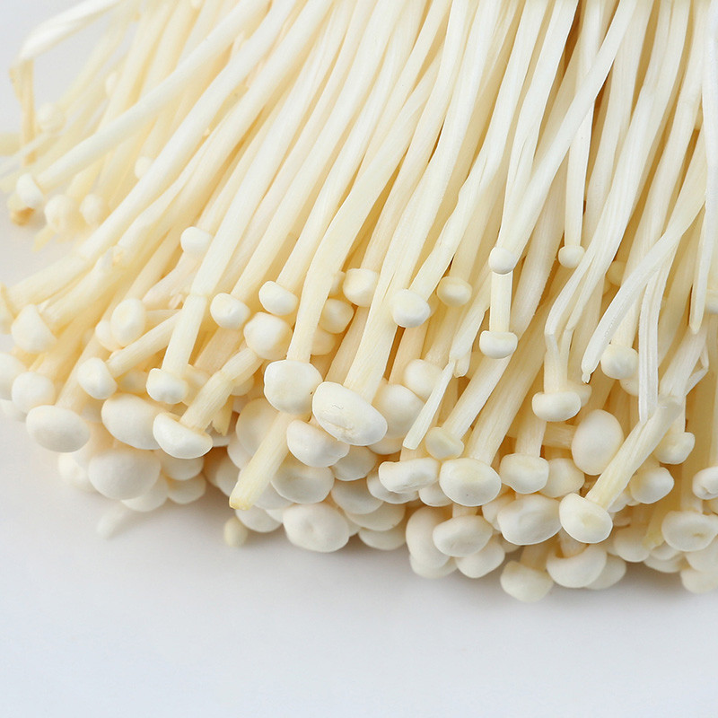 Great Quality Chinese Exported Factory Cultivated Growing Exotic Fresh Enokitake Fresh Enoki Mushroom