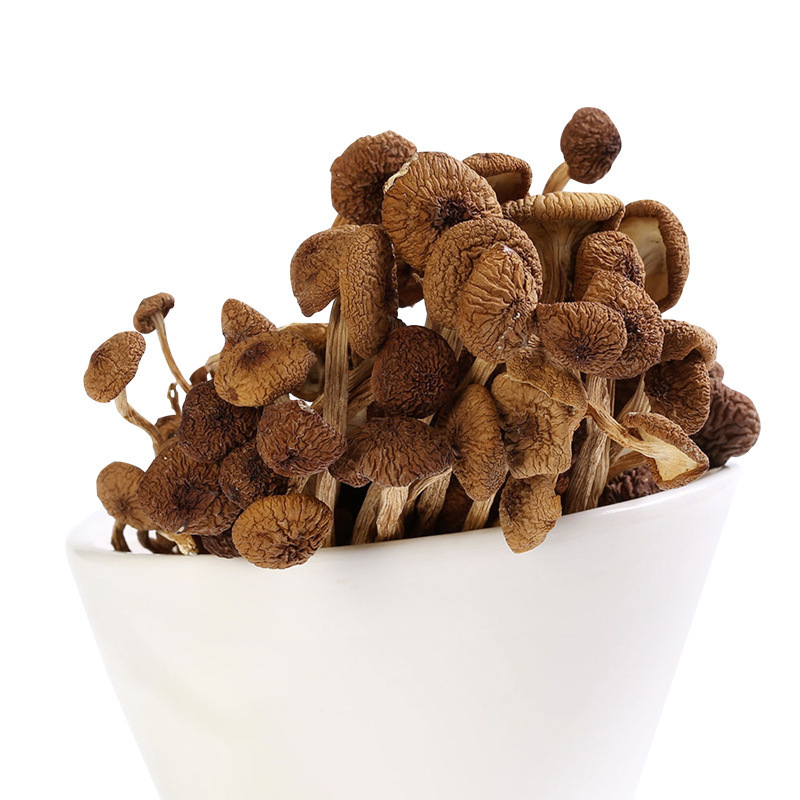 Chinese Factories Yunnan bulk natural New Fresh Dried Agrocybe Dried Tea Tree shitake Mushroom