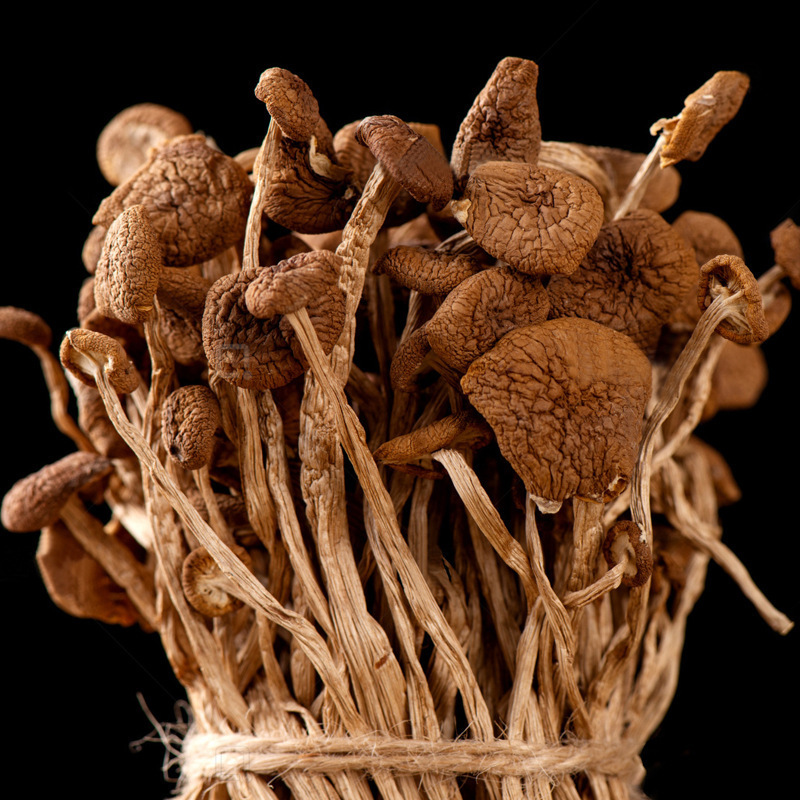 Chinese Factories Yunnan bulk natural New Fresh Dried Agrocybe Dried Tea Tree shitake Mushroom