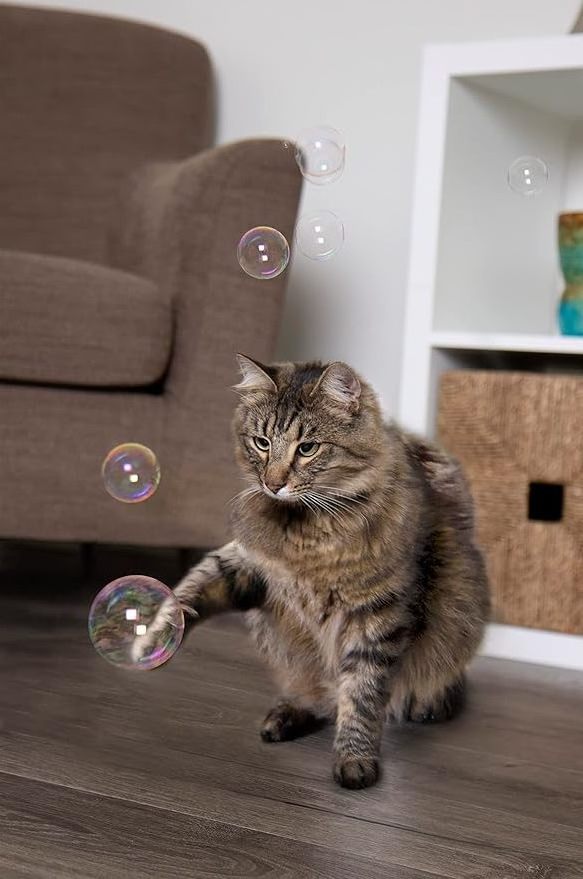 Cat Toys with Catnip Bubbles Safe Funny New Interactive Catnip Bubbles