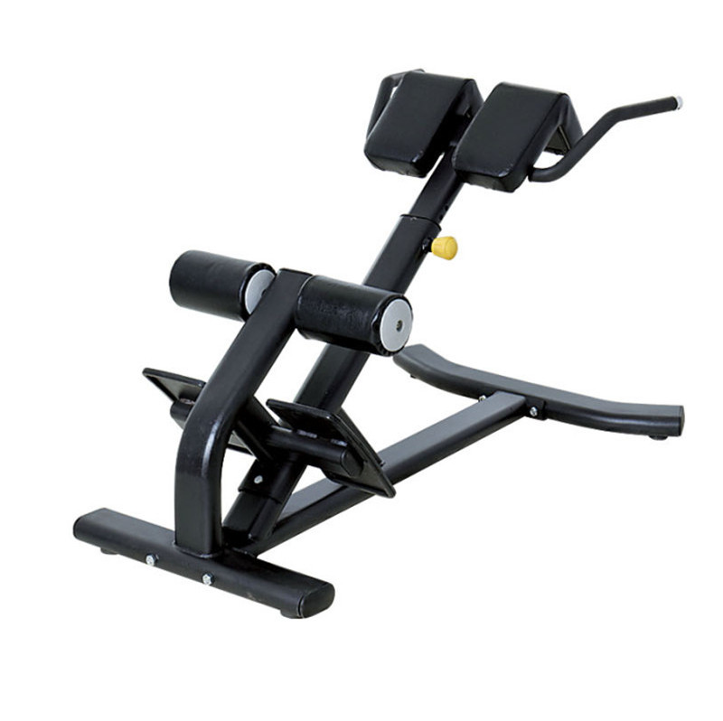 Longotech High Quality Commercial Fitness Gym Equipment Back Extension Roman Chair