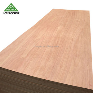 Best price red meranti plywood board / ply wood