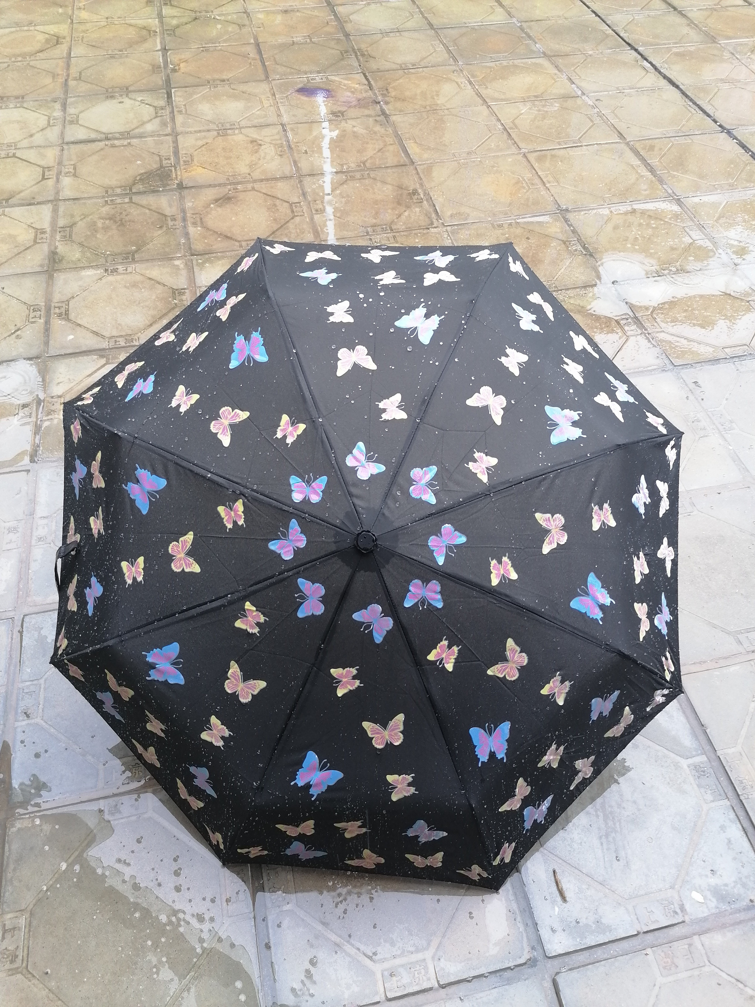 LS Amazing Fantastic Appear Customized Design Stripe Butterfly Drip 3 Fold Magic Color Change Printing Umbrella When Wet