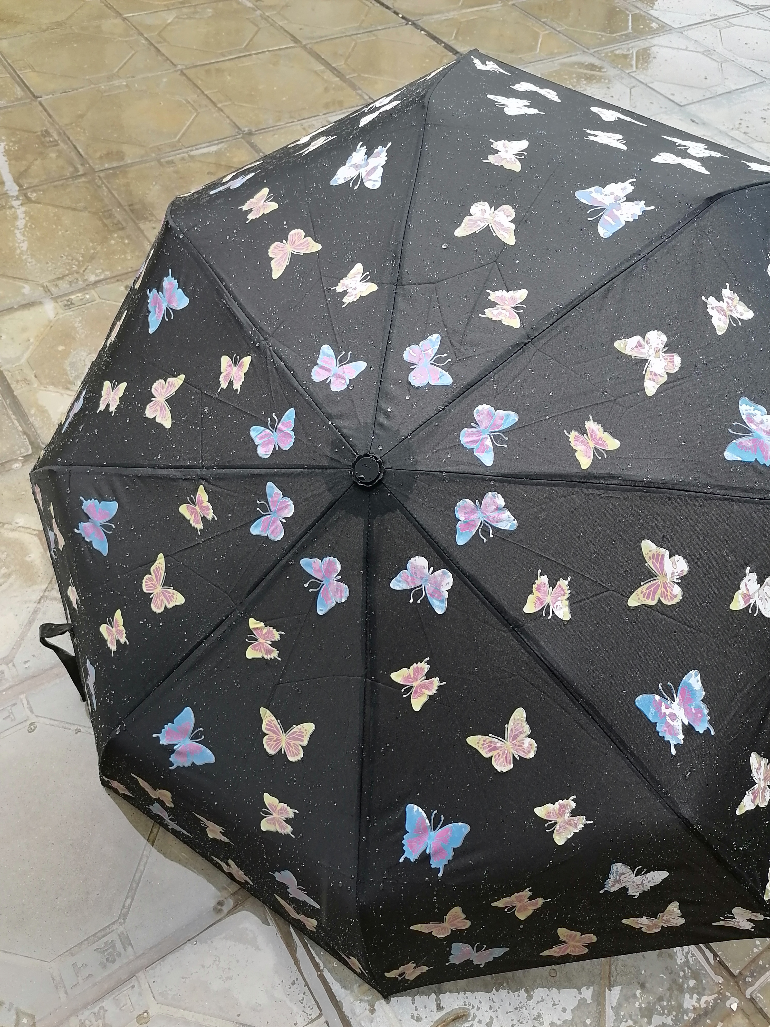 LS Amazing Fantastic Appear Customized Design Stripe Butterfly Drip 3 Fold Magic Color Change Printing Umbrella When Wet