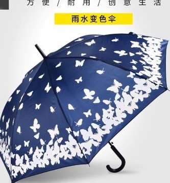 LS Rainy 23inch 8 ribs automatic windproof cosplay changing color magic straight umbrella