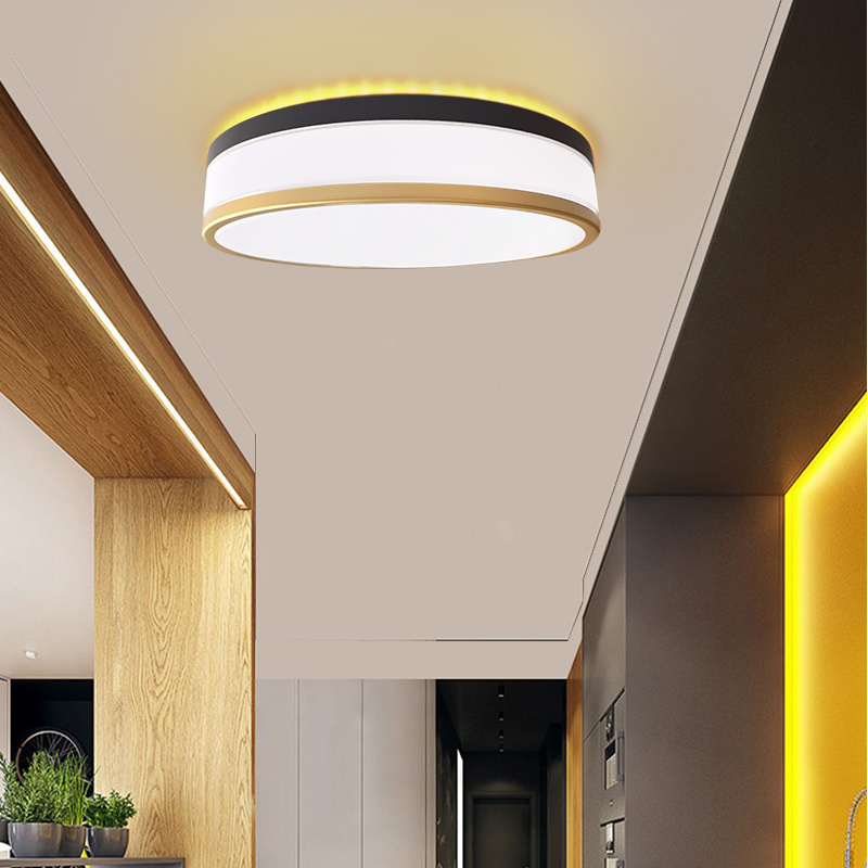 5CCT Double ring ultrathin LED Flush Mount Ceiling Light Brushed Nickel 12 inch Kitchen Bedroom Ceiling Light