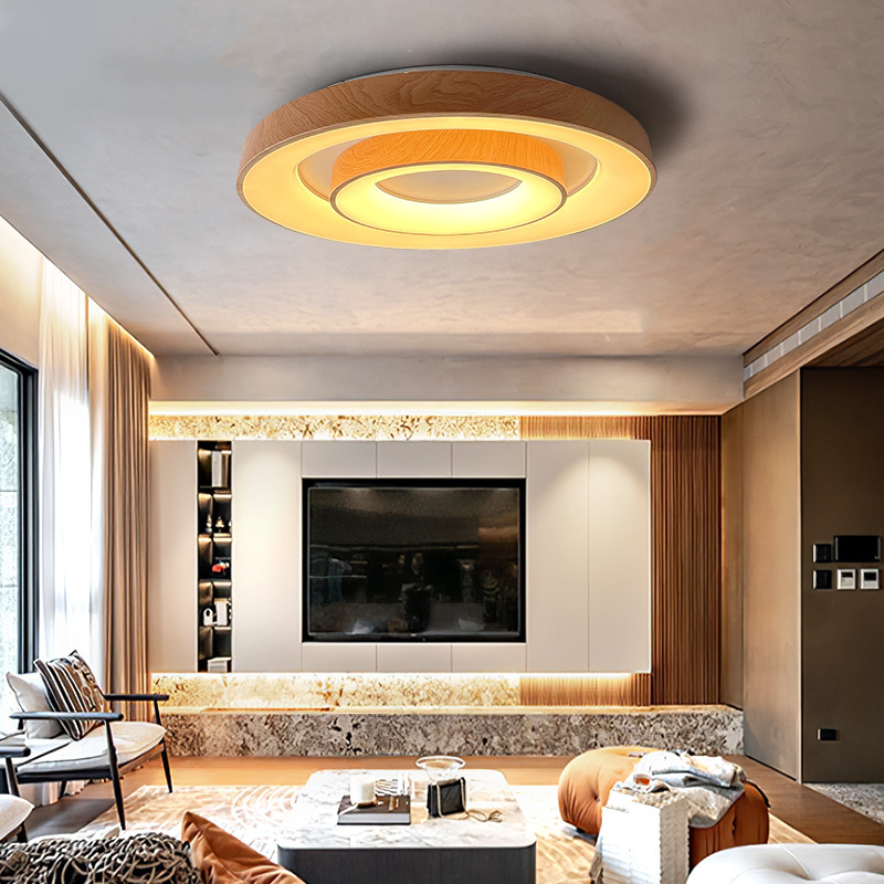 Nordic luxury creative design large decorative lighting Modern home living room bedroom acrylic round LED ceiling light