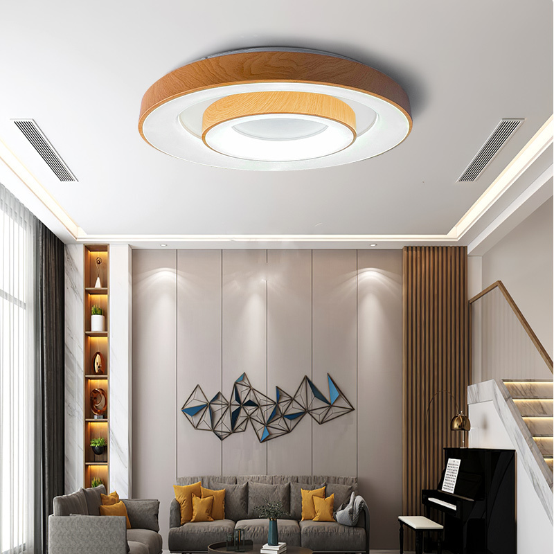 Nordic luxury creative design large decorative lighting Modern home living room bedroom acrylic round LED ceiling light