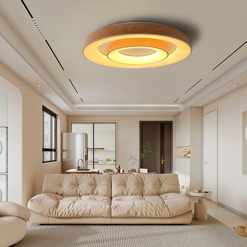 Nordic luxury creative design large decorative lighting Modern home living room bedroom acrylic round LED ceiling light