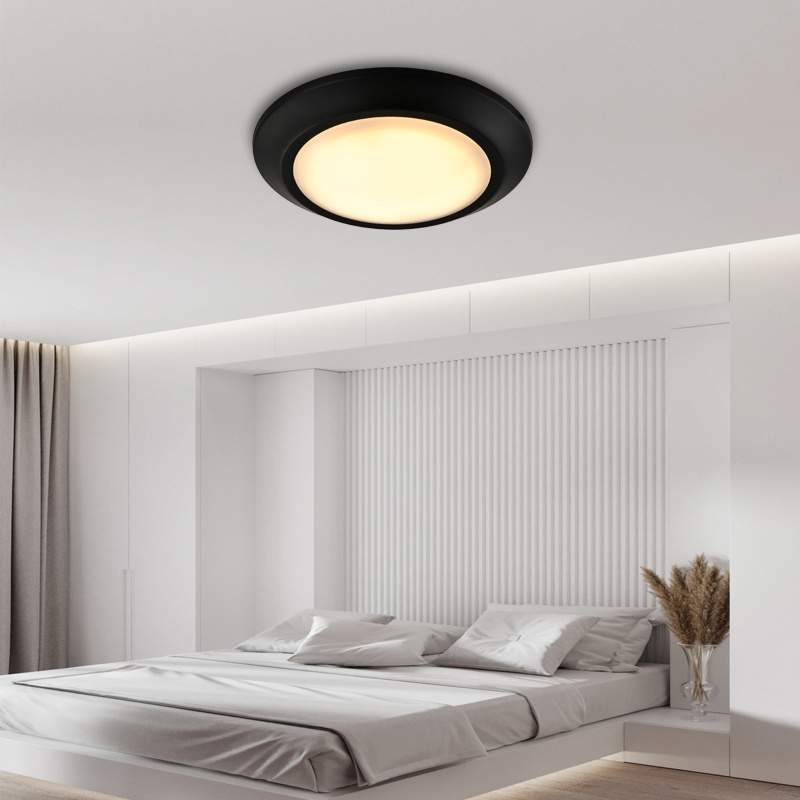 modern ETL ultrathin design Black and white decorative ceiling lights for living room bedroom 10W flush mount LED light ceiling