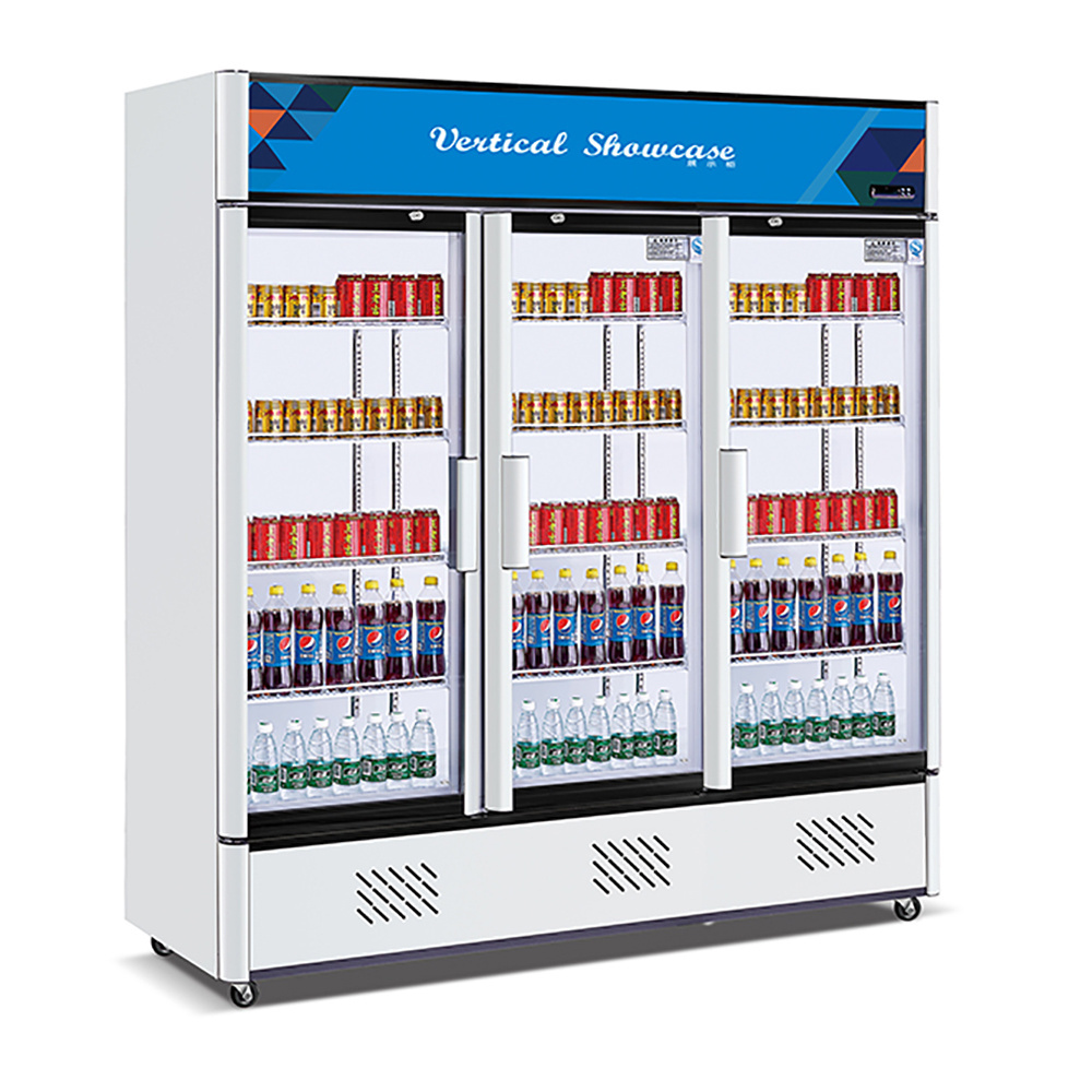 Commercial Refrigerator Frost Free Glass Hinge Door Vertical Display Freezer