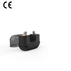 Q10 CIC Mini Rechargeable price axon rexton Hearing aid ear tips signia Programmable Amplifier Hearing Aids wholesale