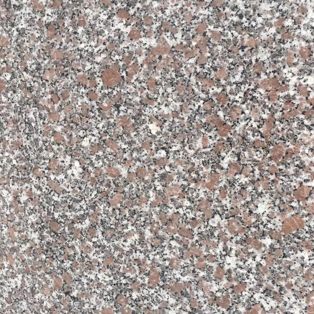 Cheap Chinese top quality granite G664 G648 rosa rhino pink granite polished flamed tiles manufacturer