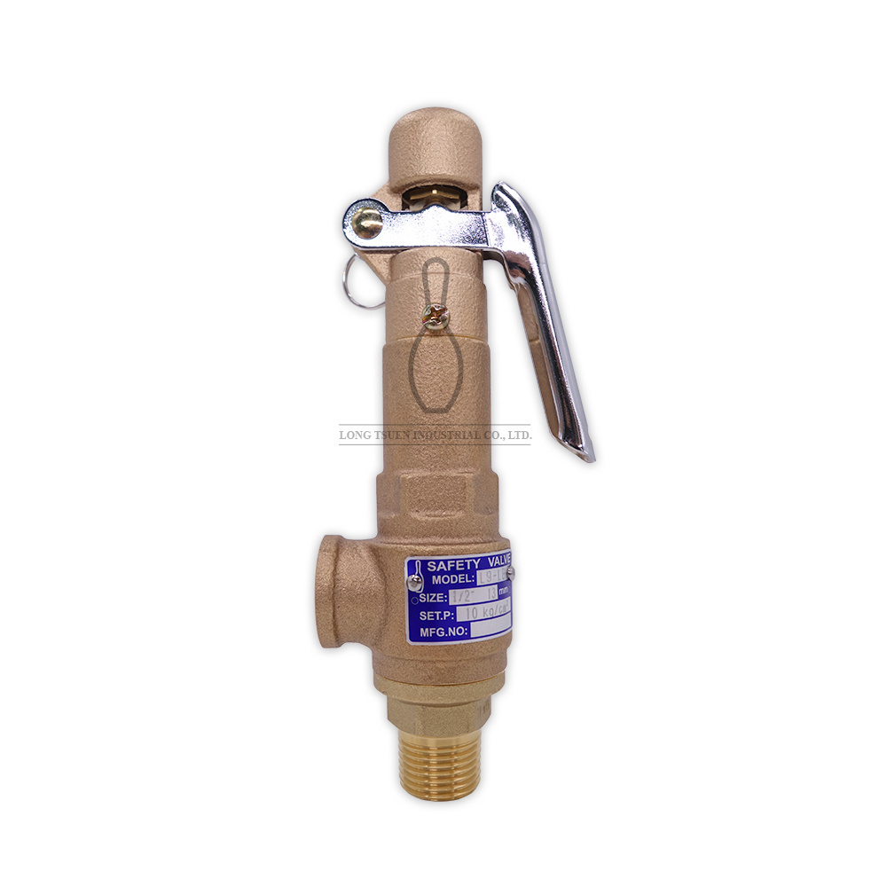 Air petroleum oil liquid bronze L9BP/L9-LBP water PTFE oring angle way Safety Valve