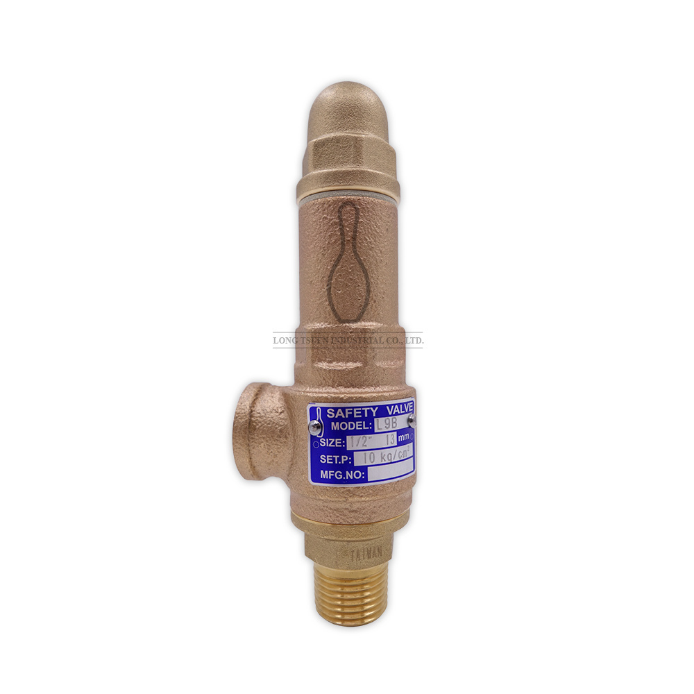 Air petroleum oil liquid bronze L9BP/L9-LBP water PTFE oring angle way Safety Valve