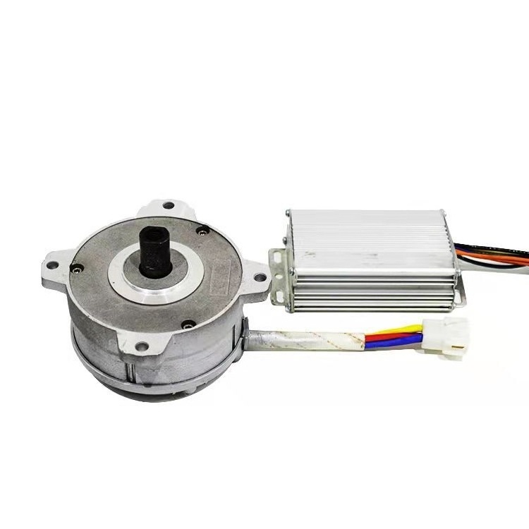 China factory  36V 48V 3500rpm DC brushless motor for Garden Lawn mower