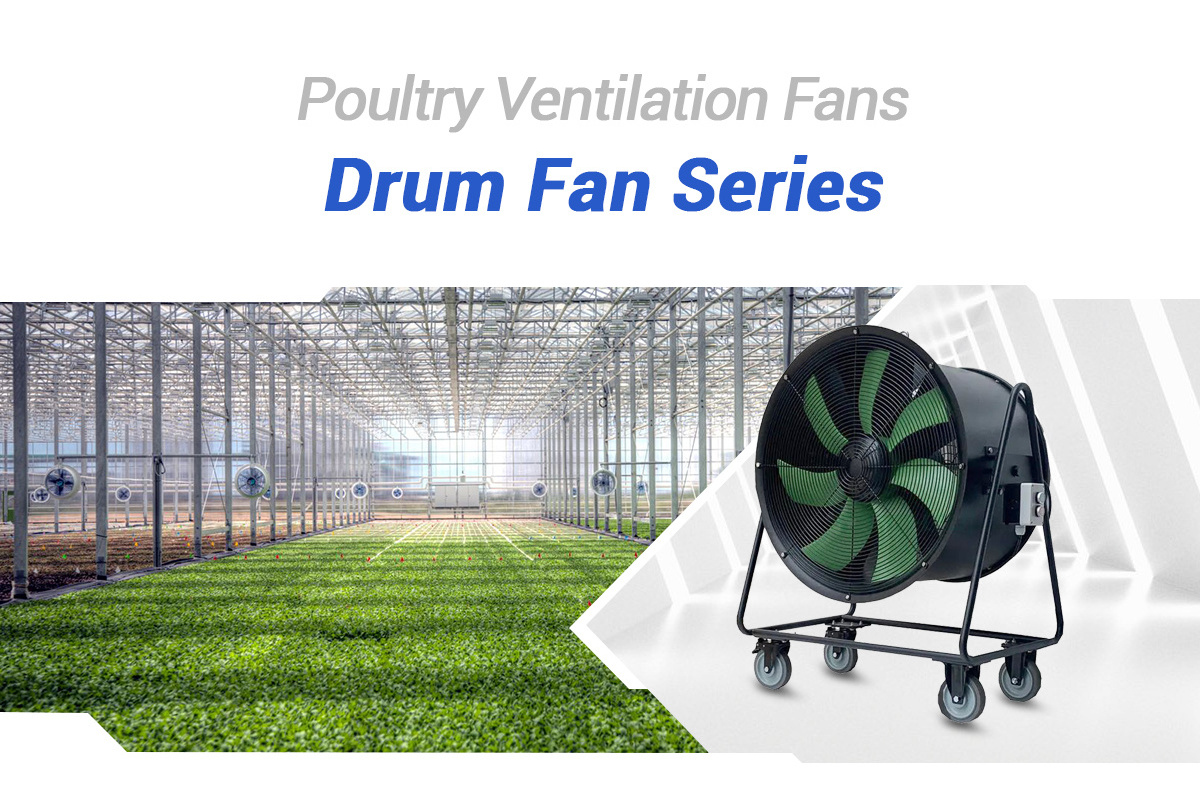 High speed Electric Heavy duty removeable industrial ventilation drum fans for Greenhouse ,Farm ,Warehouse