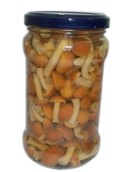 New season Pholiota best Quality Canned Nameko Mushroom marinated in brine factory price