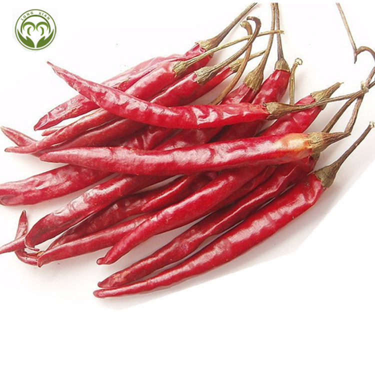 high quality red dry chill cheap price Yindu/Jinta red chilli S17 Teja