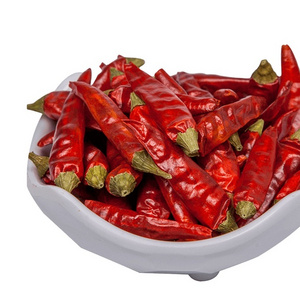 high quality red dry chill cheap price Yindu/Jinta red chilli S17 Teja