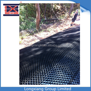 Plastic Road Geo Grids PP Biaxial Geogrid 40 40kn for Road Reinforcement Elite Sale Black Training