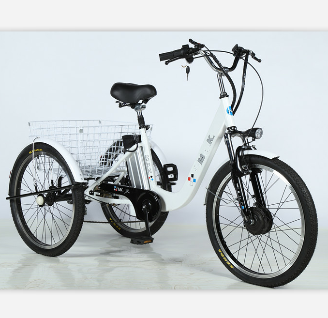 250W Electric tricycle with aluminium frame 7 speed in stock in Europe warehouse