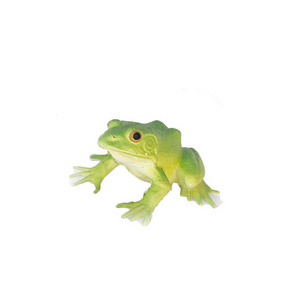 Animal Toys Plastic Simulation Frogs Mini Figurine Realistic Rubber Frog Toy