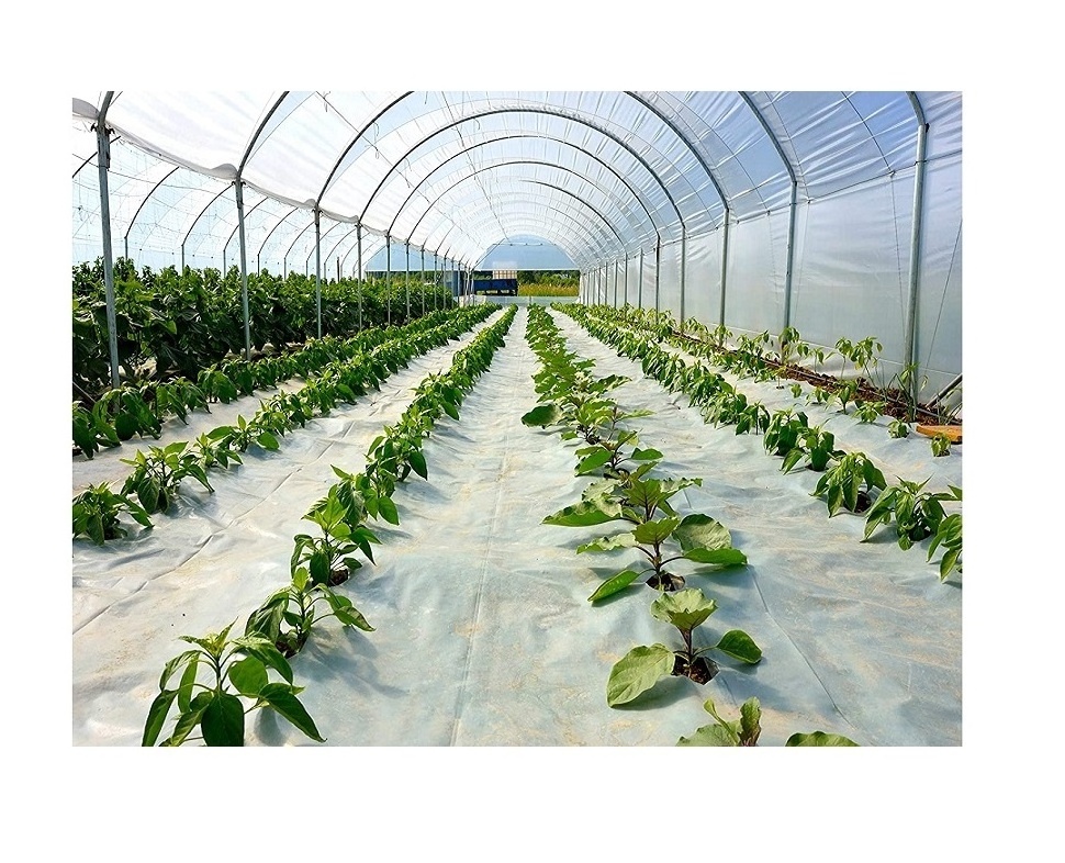 PE greenhouse film, etfe greenhouse film,Agriculture Used poly tunnel\plastic film Greenhouse Tent For Sale