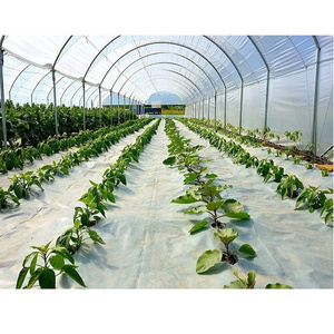 PE greenhouse film, etfe greenhouse film,Agriculture Used poly tunnel\plastic film Greenhouse Tent For Sale