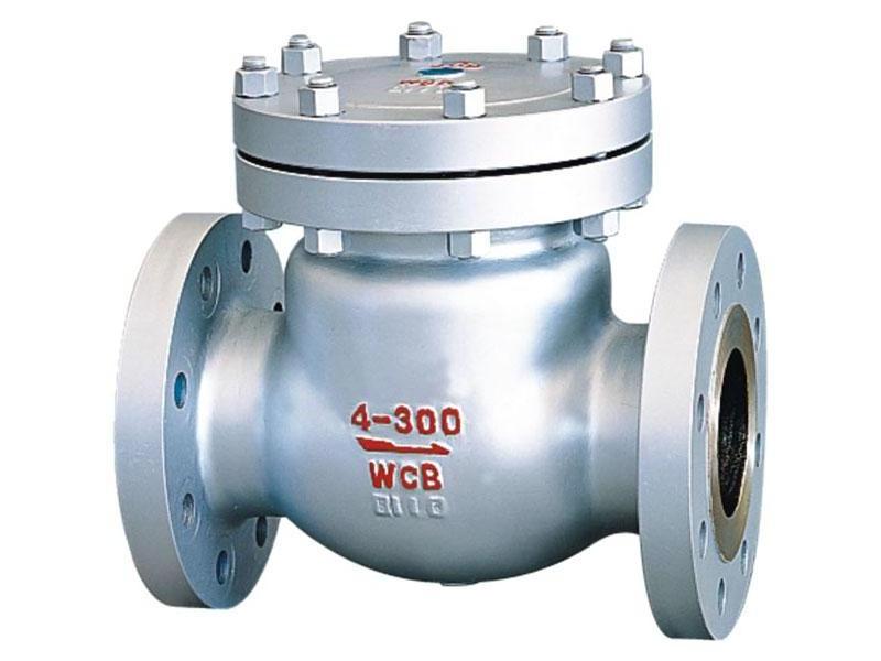 High Pressure 304 316 Stainless Steel NPT Threaded /Flange Spring and Swing Check Valve Non Return Valve