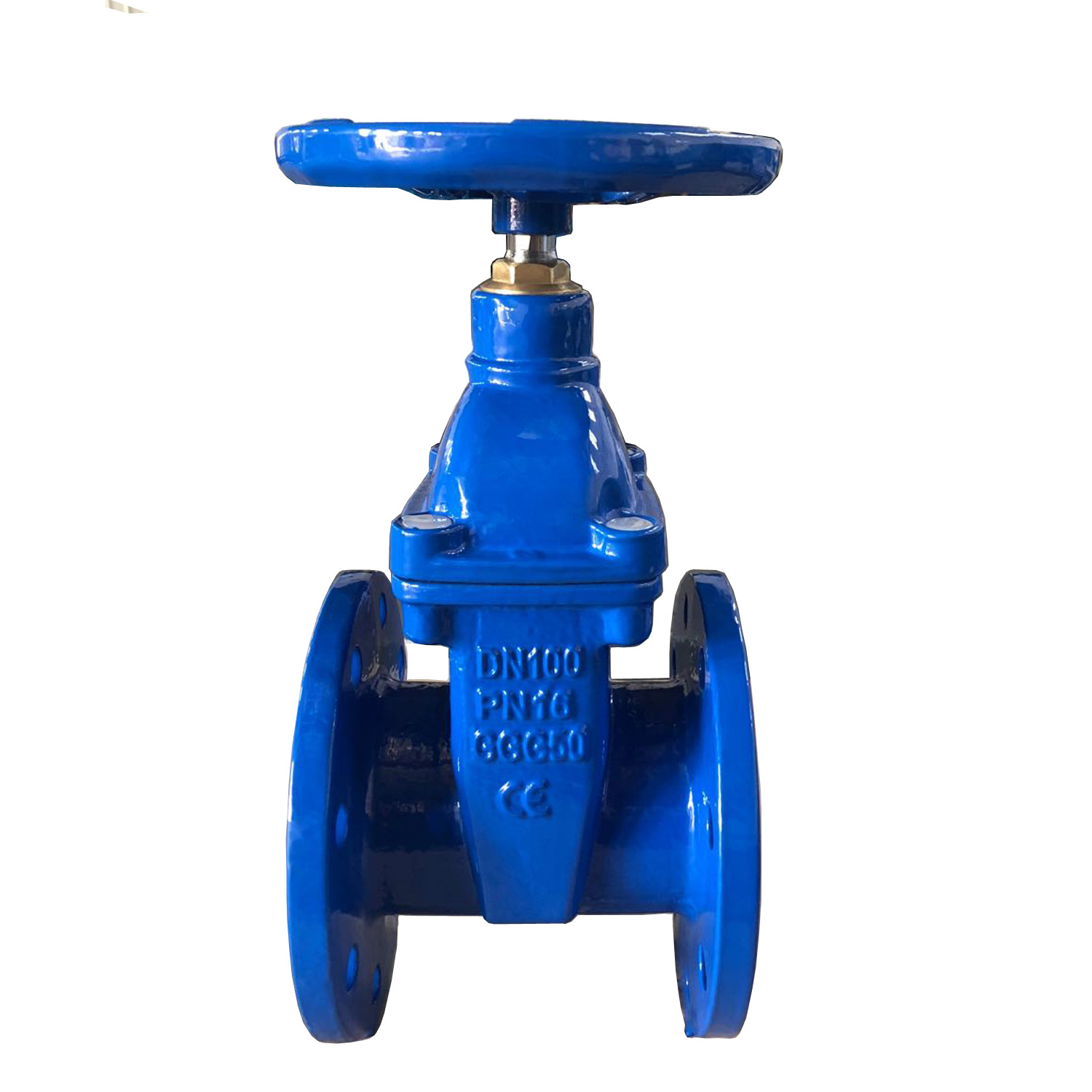 BS 5163 Standard Nrs Cast/Ductile Iron CI DI GG25 GGG50 Gate Valve Dual Plate Check Valve