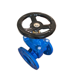 BS 5163 Standard Nrs Cast/Ductile Iron CI DI GG25 GGG50 Gate Valve Dual Plate Check Valve