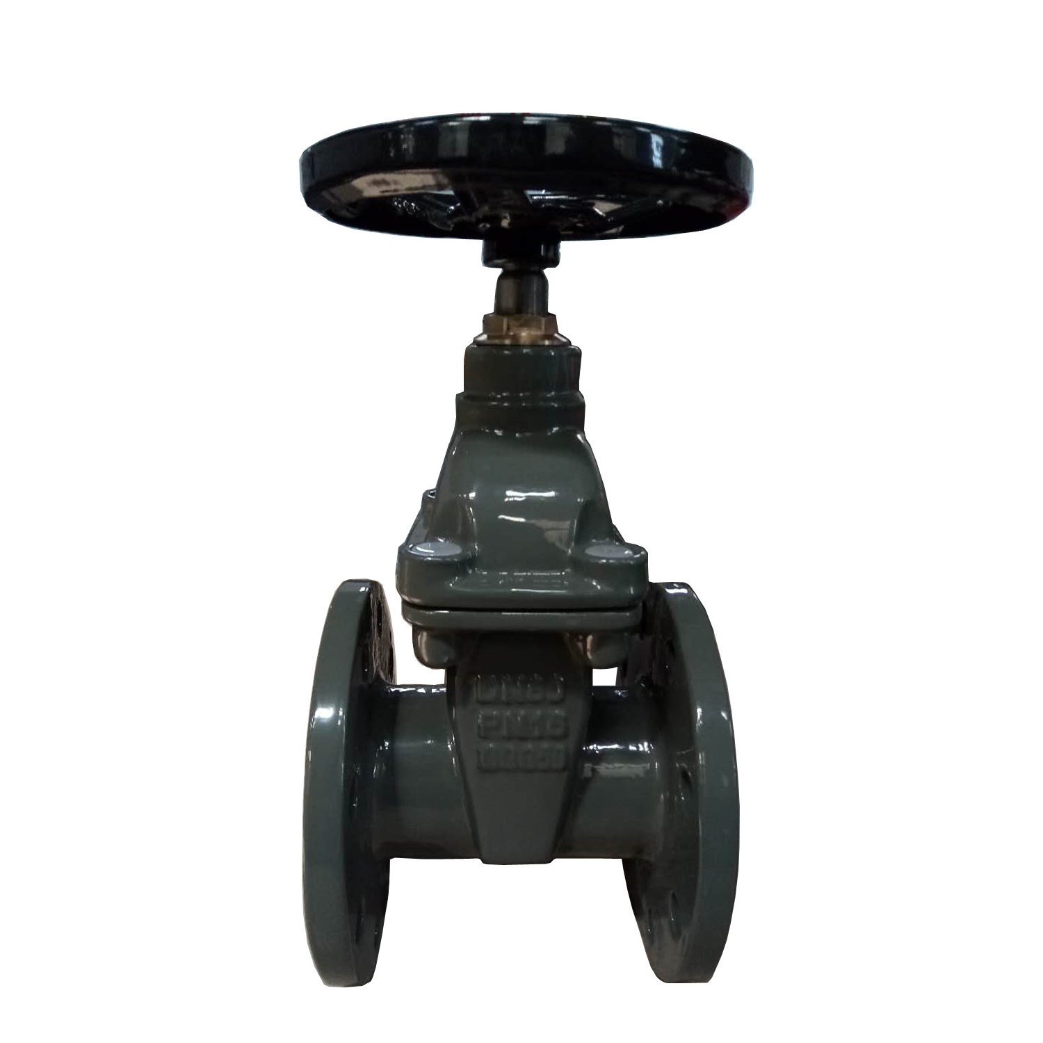 BS 5163 Standard Nrs Cast/Ductile Iron CI DI GG25 GGG50 Gate Valve Dual Plate Check Valve