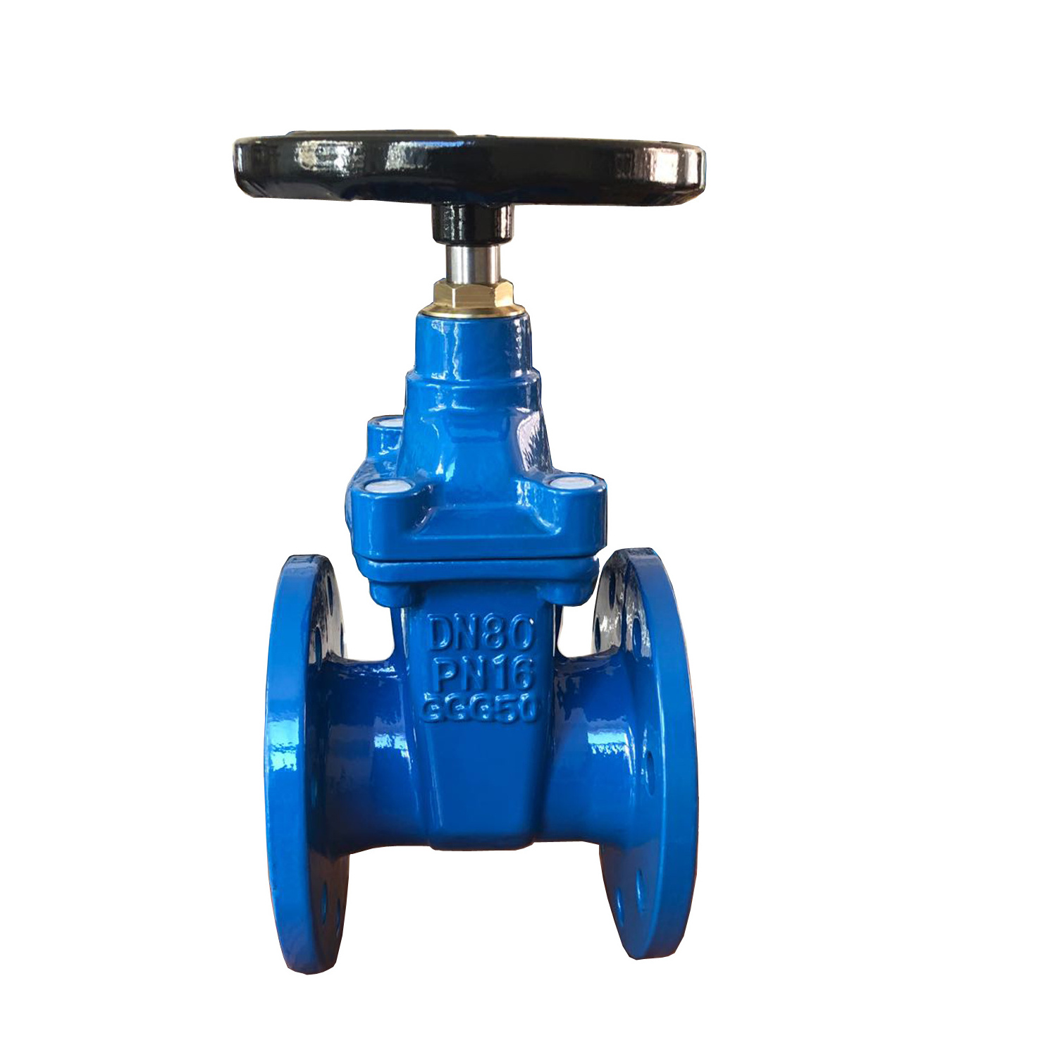 BS 5163 Standard Nrs Cast/Ductile Iron CI DI GG25 GGG50 Gate Valve Dual Plate Check Valve