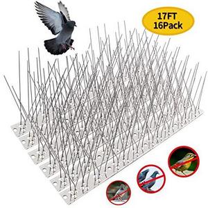 Factory price Stainless Steel Anti Pigeon Stainless Steel Deterrent Bird Spikes