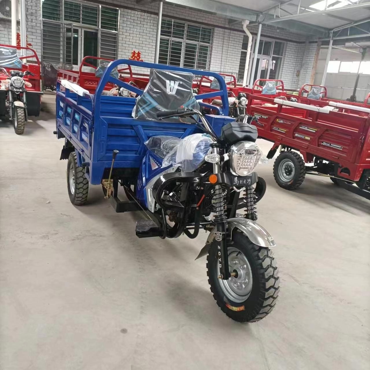 2024 China Hot Sale 150cc 200cc Three Wheel Tricycle Motorized Tuk Tuk Motorcycle Cargo Tricycle