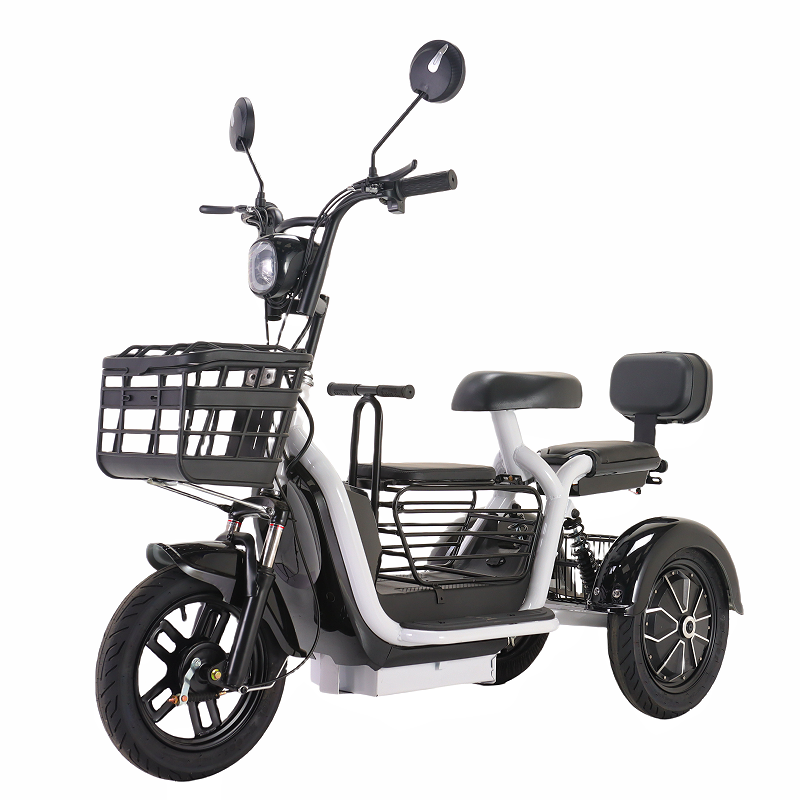 Solar Powered Electric Tricycle 48V 600W with Removable Battery Open Body Adult Tricycle from China